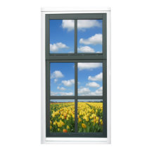 Yellow Tulips Blue Sky Spring Window View Poster