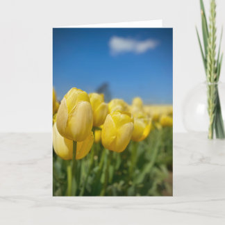 Yellow Tulips card