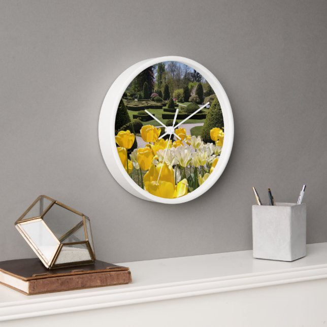 Yellow Tulips from Arboretum Volcji Potok Slovenia Clock (Office)
