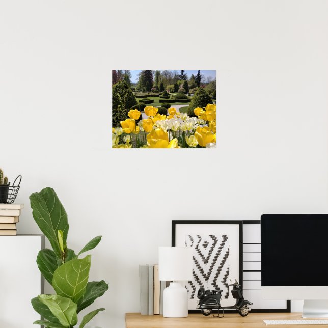 Yellow Tulips from Arboretum Volcji Potok Slovenia Poster (Home Office)