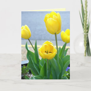 Yellow Tulips Greeting Card