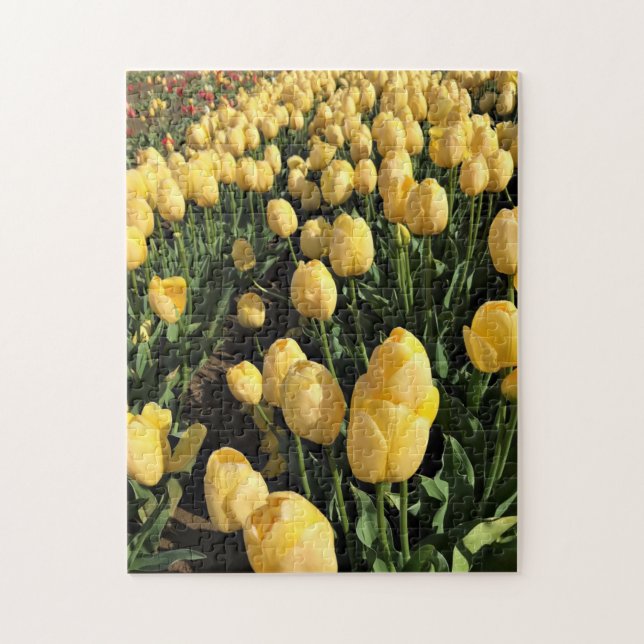 Yellow Tulips in a Field, Oregon Jigsaw Puzzle (Vertical)