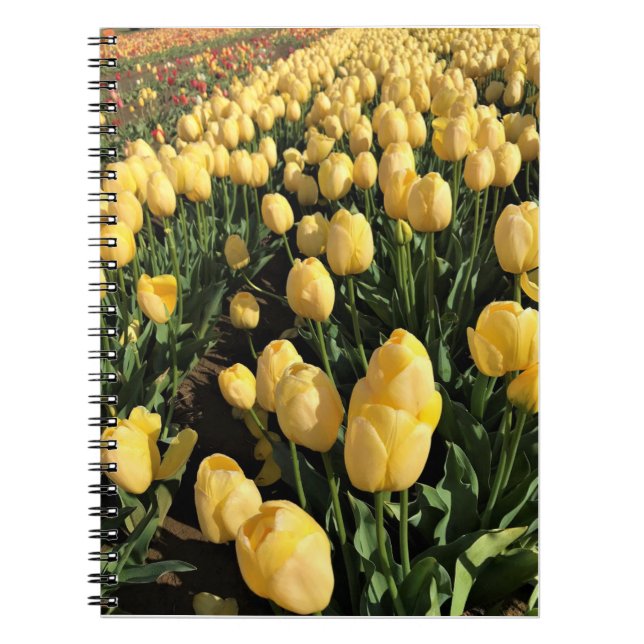 Yellow Tulips in a Field, Oregon Notebook (Front)