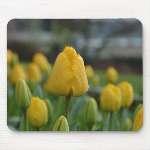 Yellow Tulips in the field Mouse Pad