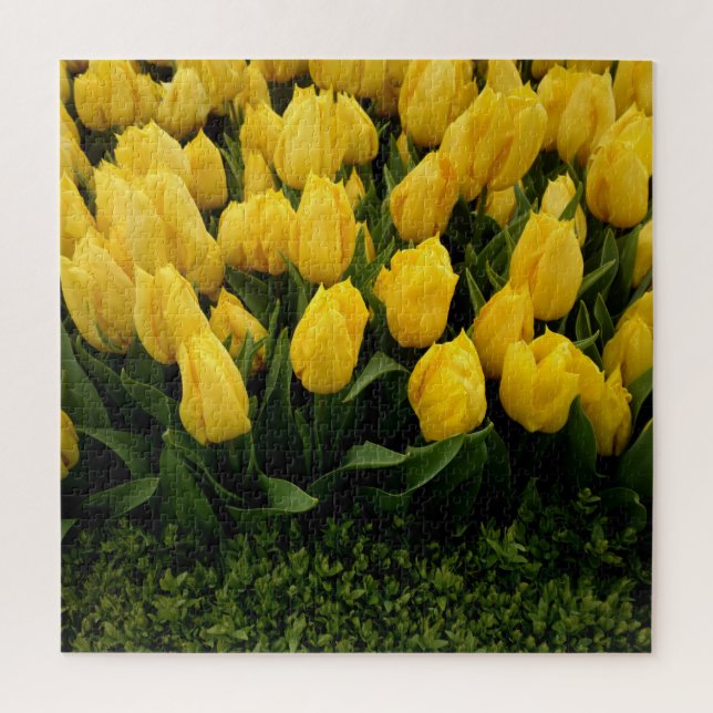 Yellow Tulips Jigsaw Puzzle (Vertical)