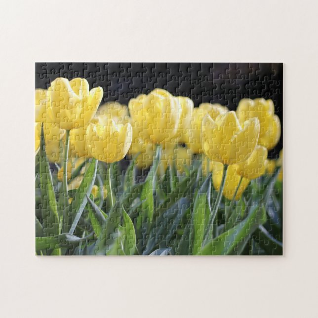 Yellow Tulips Jigsaw Puzzle (Horizontal)