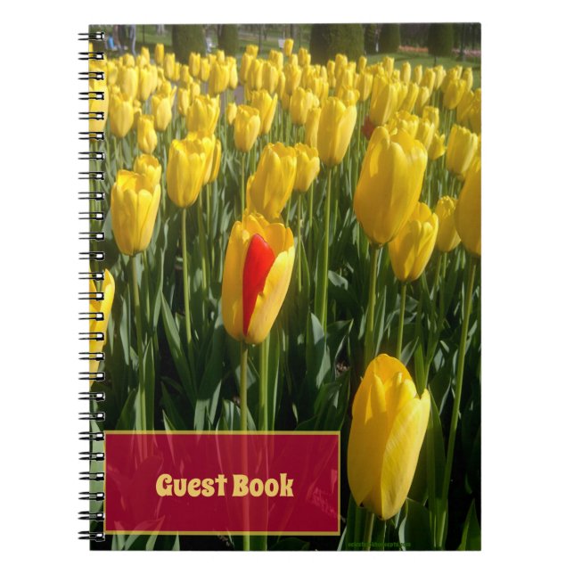 Yellow Tulips  Notebook (Front)