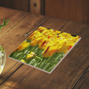 Yellow Tulips with Red Striped Floral Ceramic Tile
