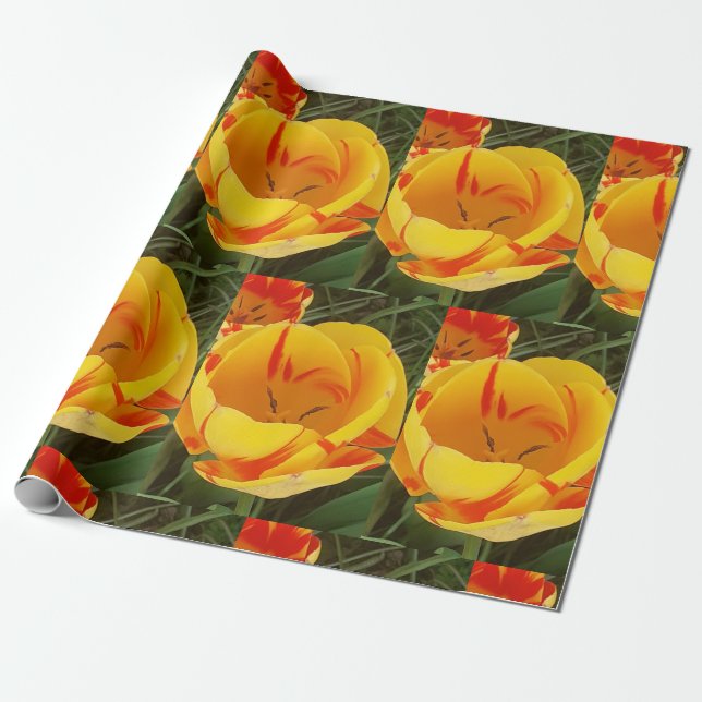 Yellow Tulips Wrapping Paper (Unrolled)
