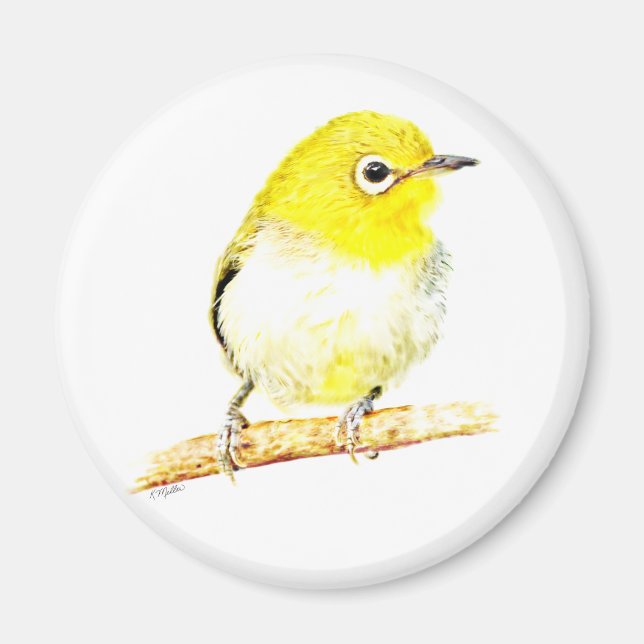 Yellow Viero Magnet (Front)