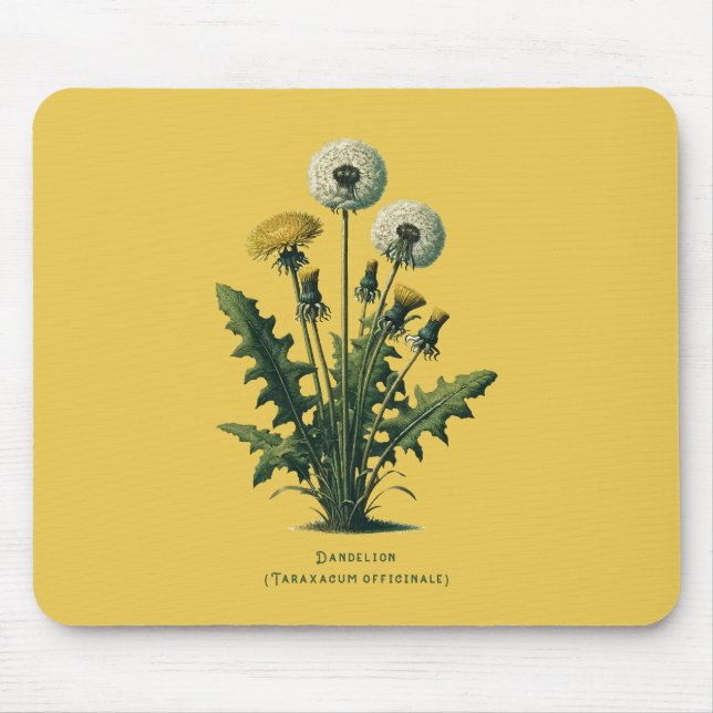 Yellow Vintage Dandelion Flowers  Mouse Pad (Front)
