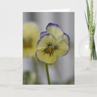 Yellow & Violet Pansy Photo – Vintage Cottagecore Card