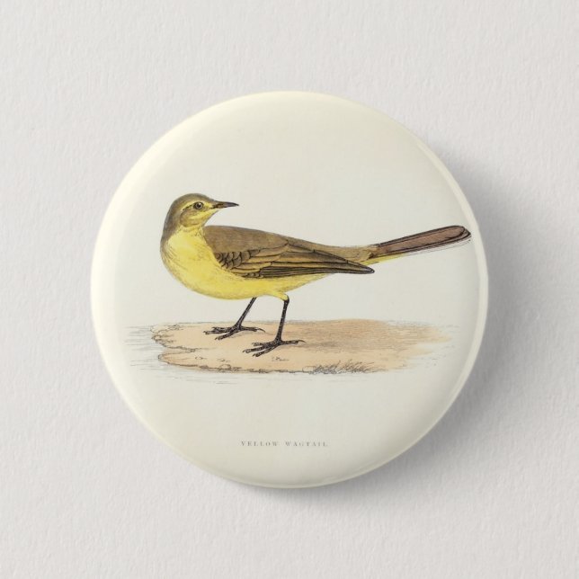 Yellow Wagtail Button (Front)