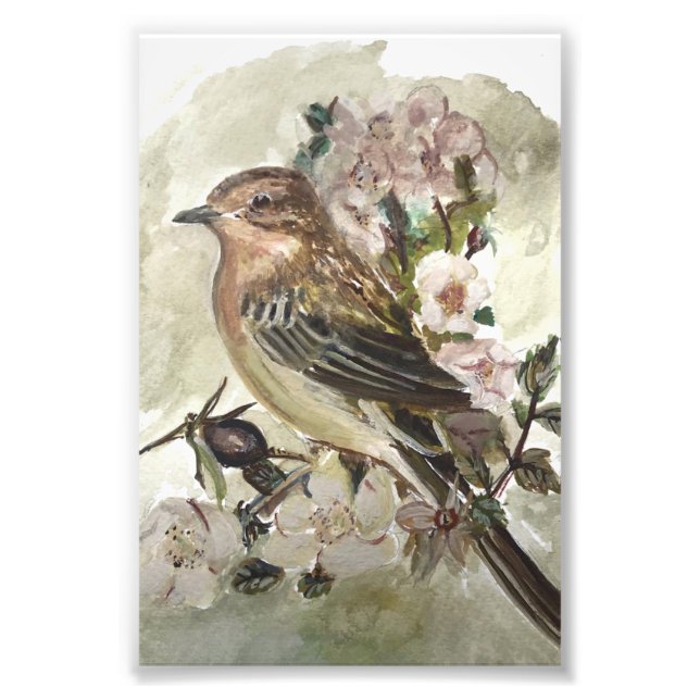 Yellow wagtail garden bird Watercolour print  (Front)