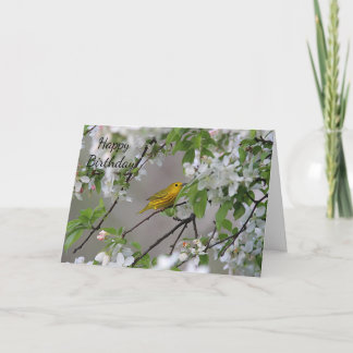 Yellow Warbler and Spring Blossoms Card