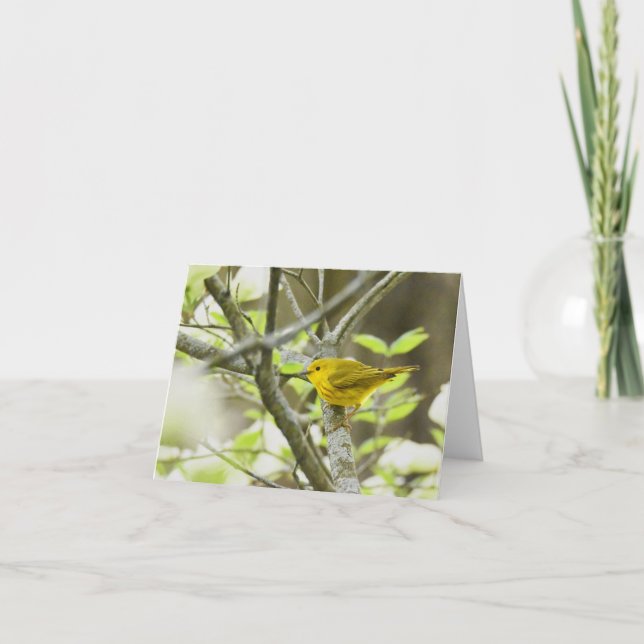 Yellow Warbler - Blank Note Card (Front)