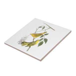 Yellow Warbler by Audubon Ceramic Tile
