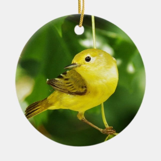 Yellow Warbler Ceramic Ornament (Front)