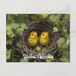 Yellow Warbler chicks in nest Postcard