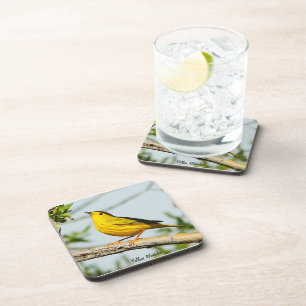 Yellow Warbler Coaster