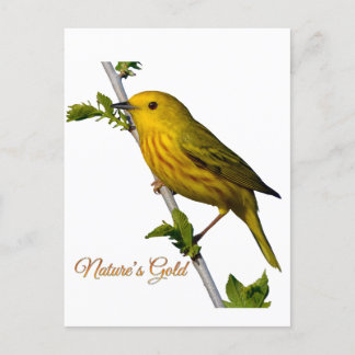 Yellow Warbler “Nature’s Gold” Printed Art Card