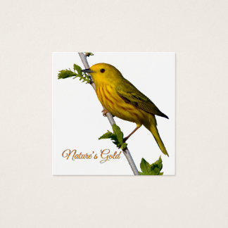 Yellow Warbler “Nature’s Gold” Printed Art Card