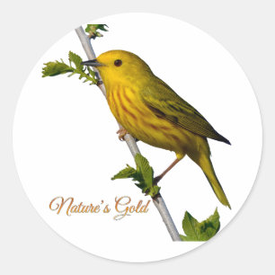 Yellow Warbler “Nature’s Gold” Printed Art Card Classic Round Sticker