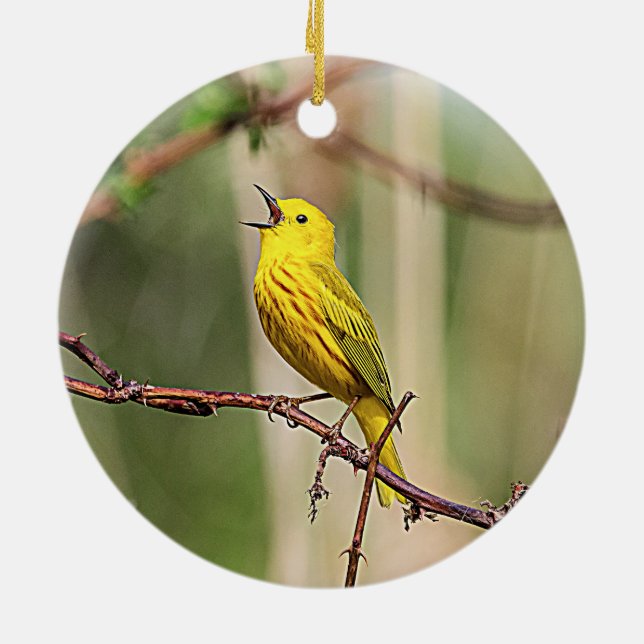 Yellow Warbler Singing Ceramic Ornament (Back)