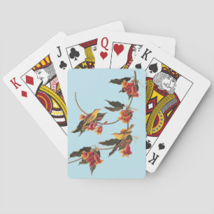 Yellow Warbler Songbirds on Flowering Crossvine Playing Cards
