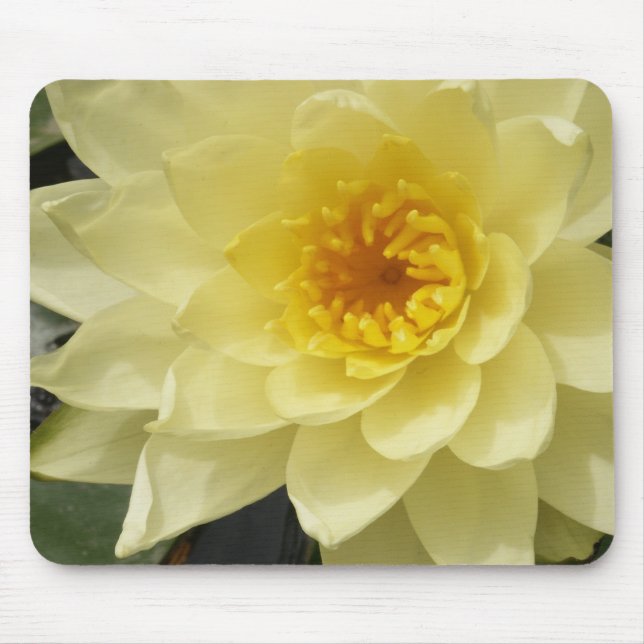 Yellow Water Lily Mousepad (Front)