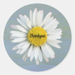 Yellow Watercolor background  Daisy Photo Thankyou Classic Round Sticker