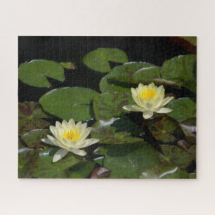 Yellow Waterlilies Jigsaw Puzzle
