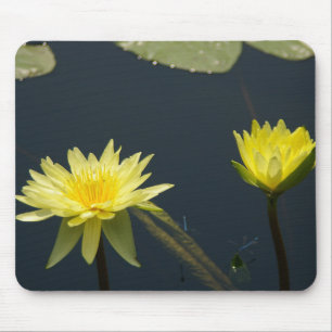 Yellow Waterlily and dragonflies mousepad