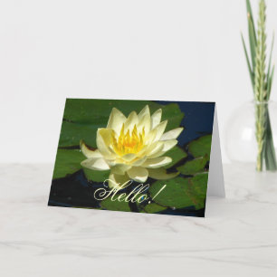 Yellow Waterlily Greeting Card