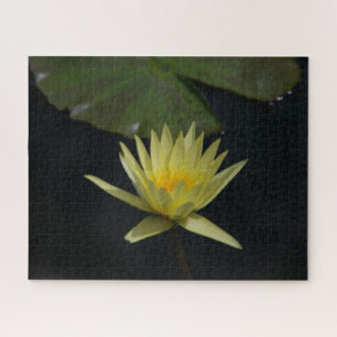 Yellow Waterlily Jigsaw Puzzle