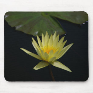 Yellow Waterlily mousepad
