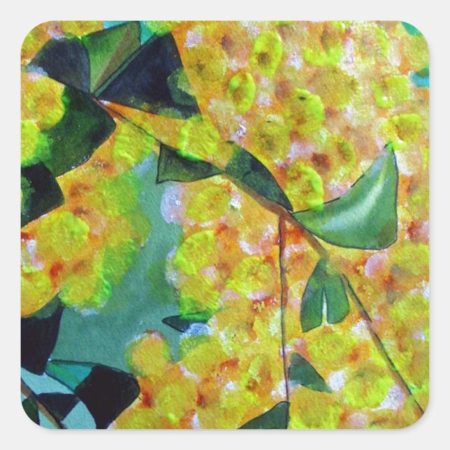 Yellow Wattle native Australian flower art Square Sticker (Front)