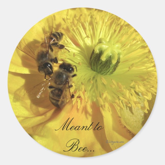 Yellow Wedding Flowers Invitation Seals (Front)