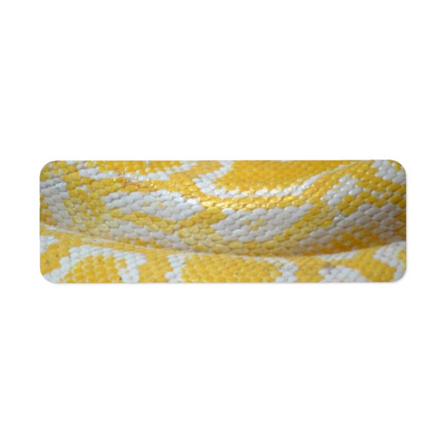 YELLOW WHITE BOA SNAKE SKIN TEXTURES REPTILES PATT RETURN ADDRESS LABEL (Front)