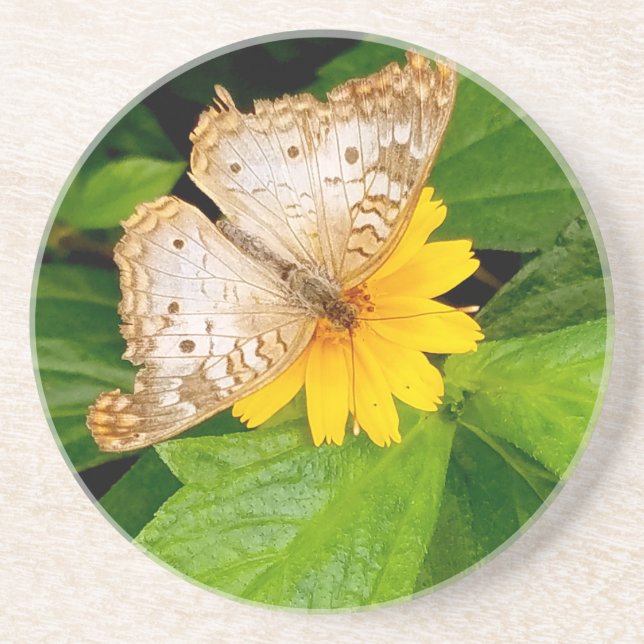 yellow white butterfly moth coaster (Front)