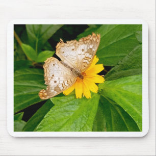 yellow white butterfly moth mouse pad