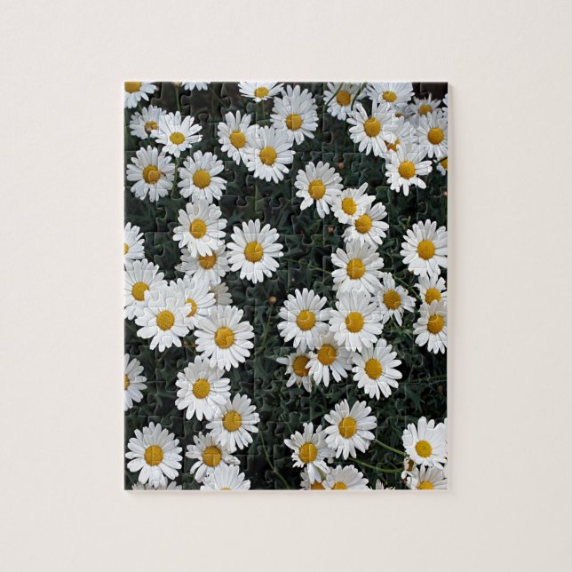 Yellow & white daisies jigsaw puzzle (Vertical)