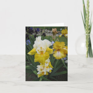 Yellow White Iris Small Note Card