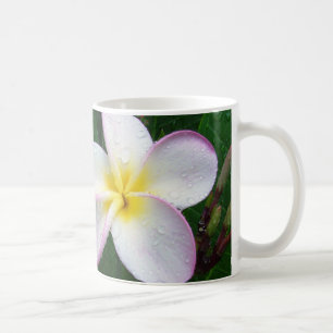 Yellow White & Purple Hawaiian Plumeria Flower Mug