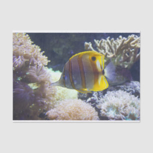 yellow & white Saltwater Copperband Butterflyfish Tissue Paper
