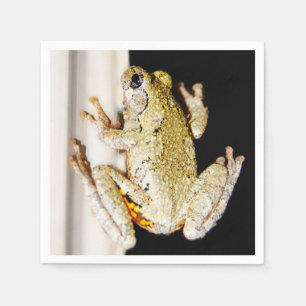 Yellow White Tree Frog Napkin