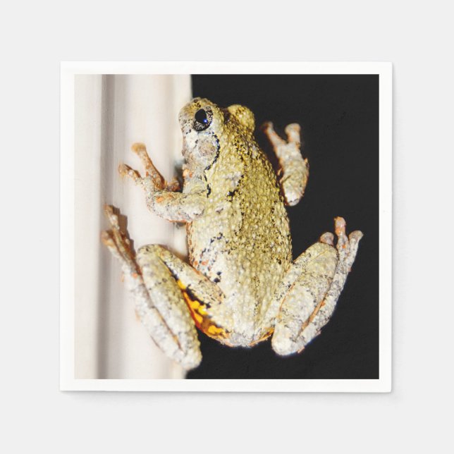 Yellow White Tree Frog Napkin (Front)