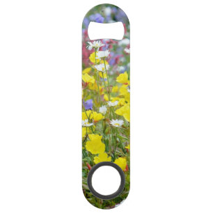 Yellow Wild Flowers