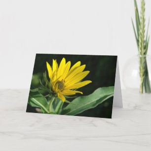 Yellow Wildflower All Occasions Card