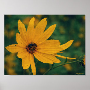 Yellow Wildflower and Bee Poster